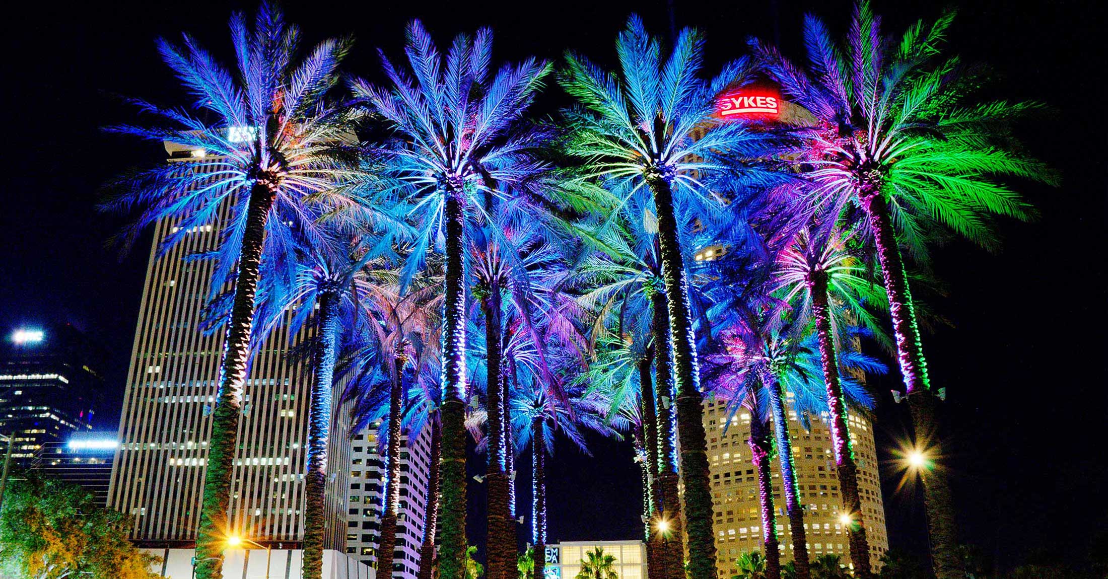 palm trees at curtis hixon waterfront park illuminated in a rainbow of colors