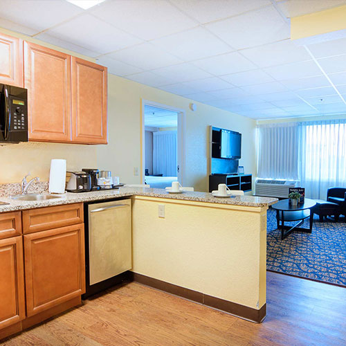 One-King Suite Living Area and Kitchenette