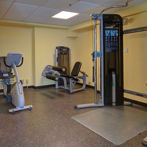 24-Hour Fitness Center Strength Equipment
