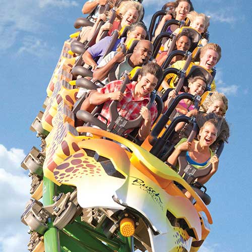 people riding a roller coaster at busch gardens